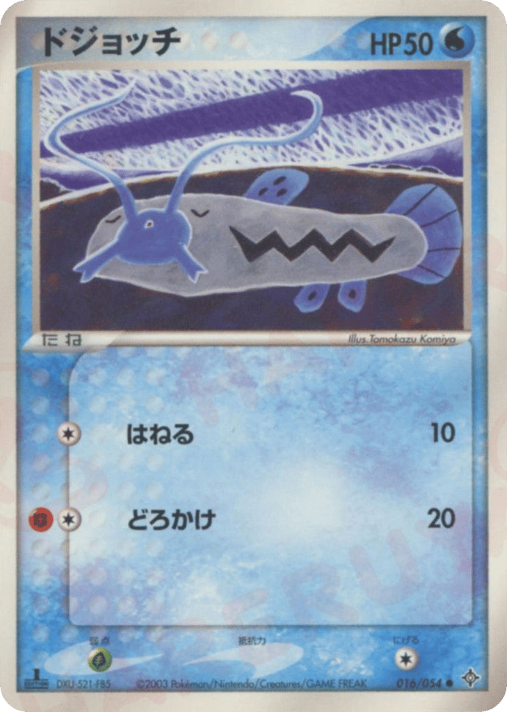 ドジョッチ