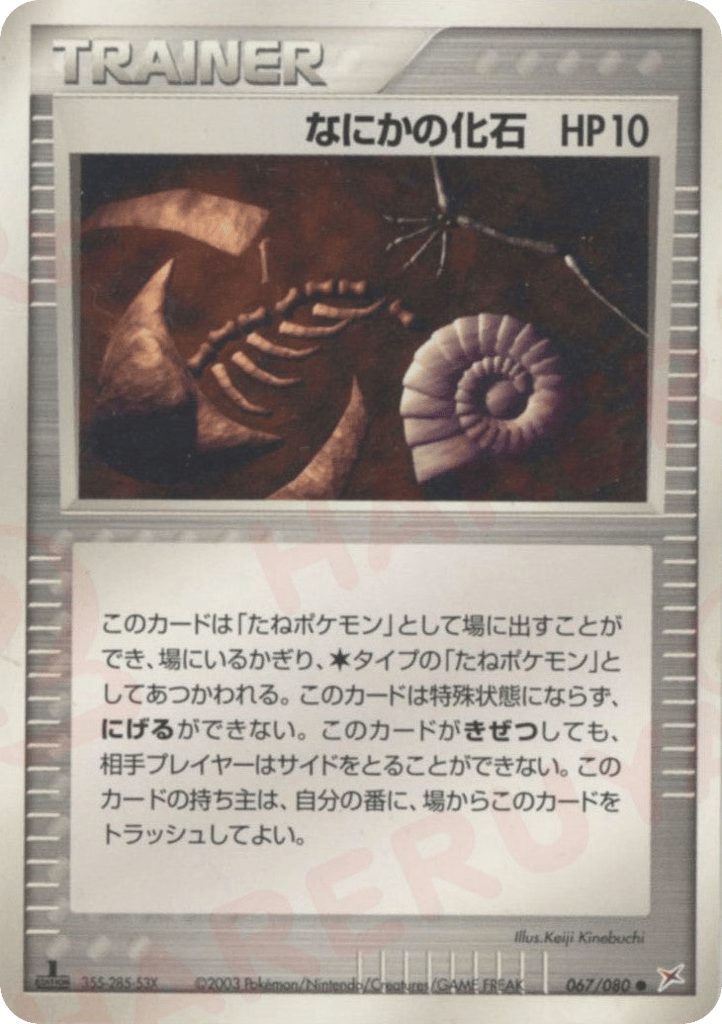 なにかの化石