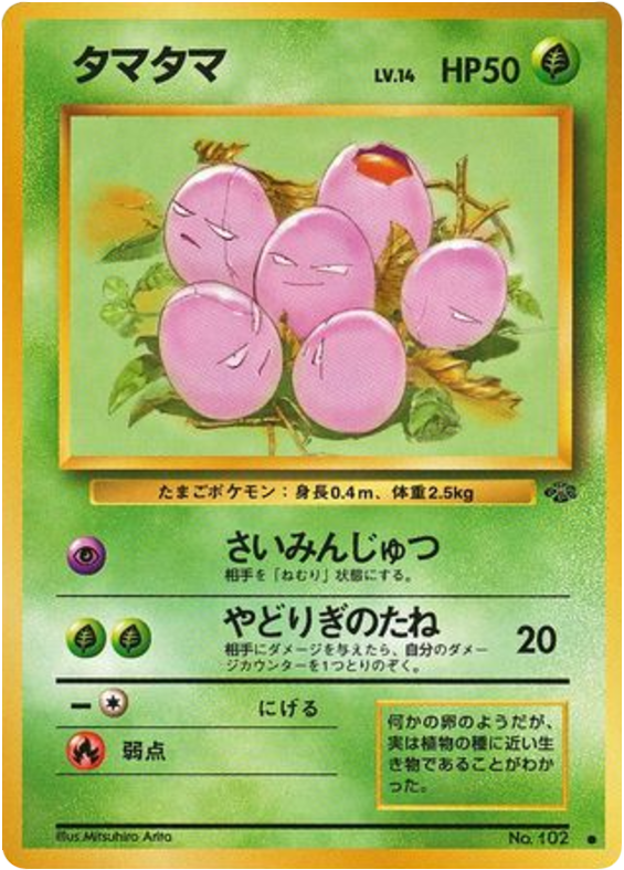 タマタマ