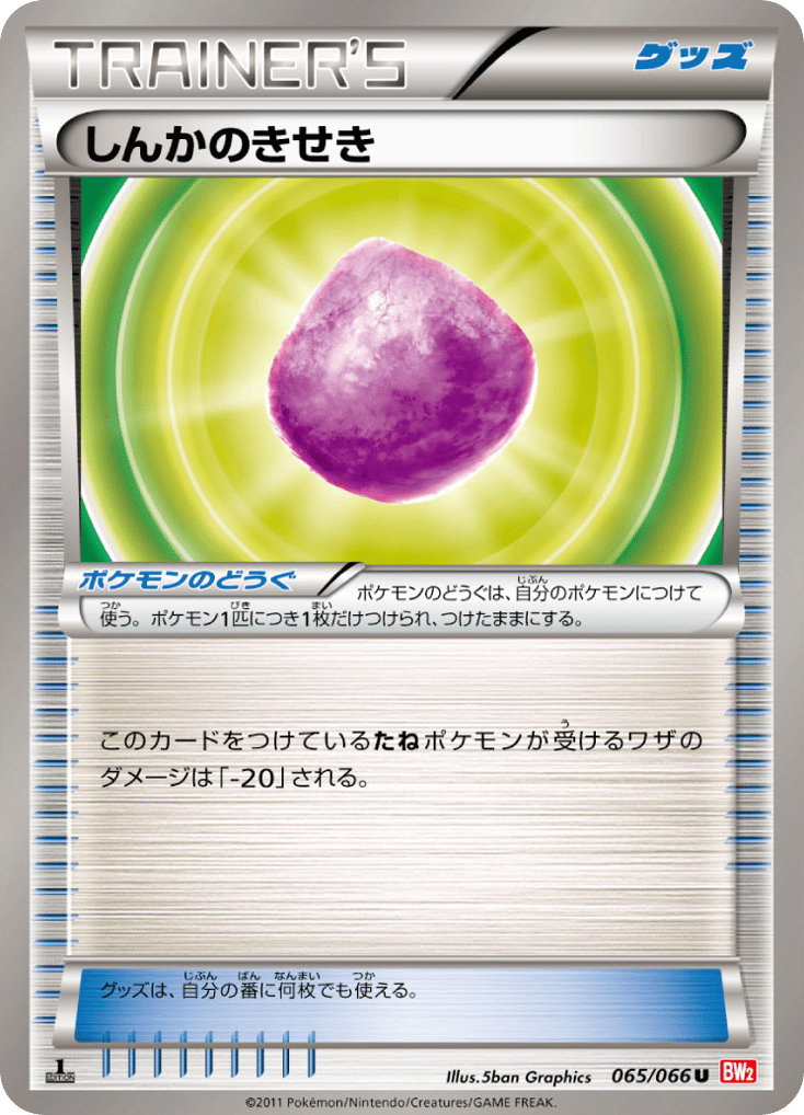 しんかのきせき