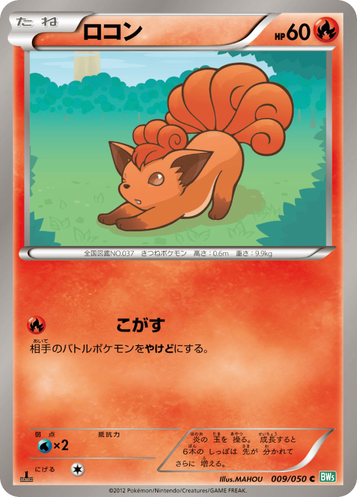 ロコン