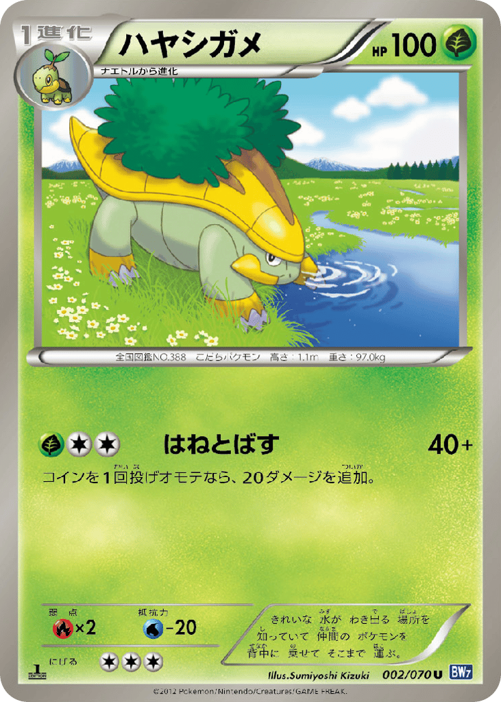 ハヤシガメ