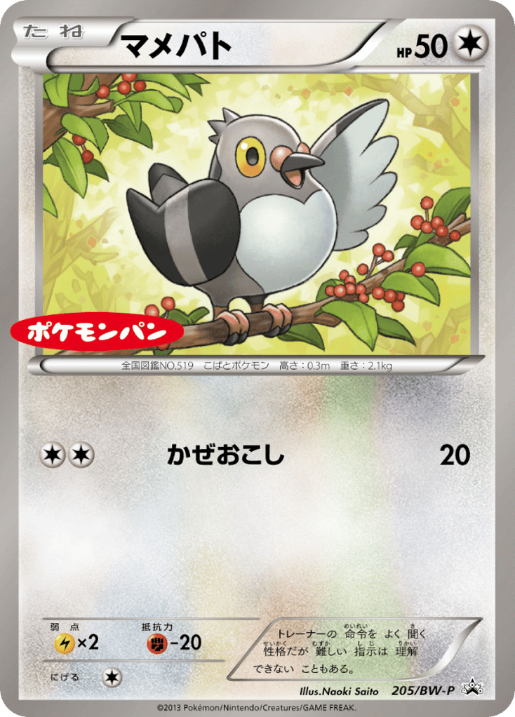 マメパト