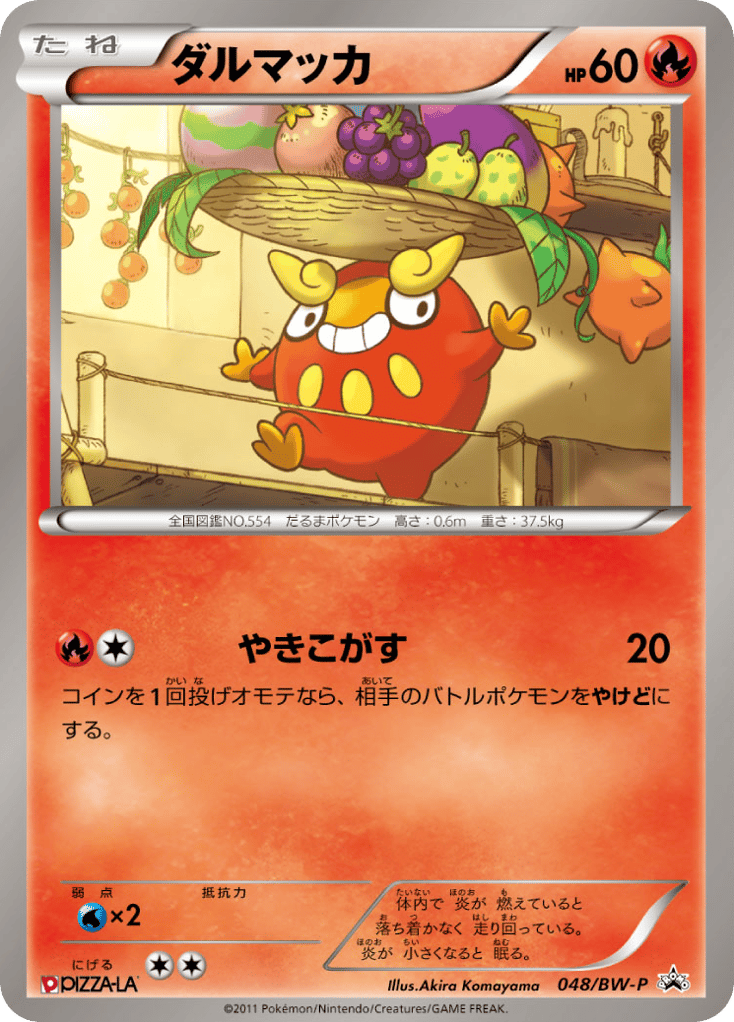 ダルマッカ