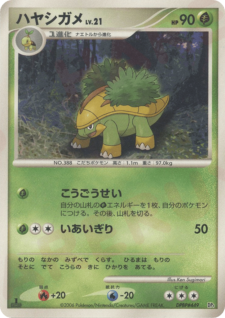 ハヤシガメ