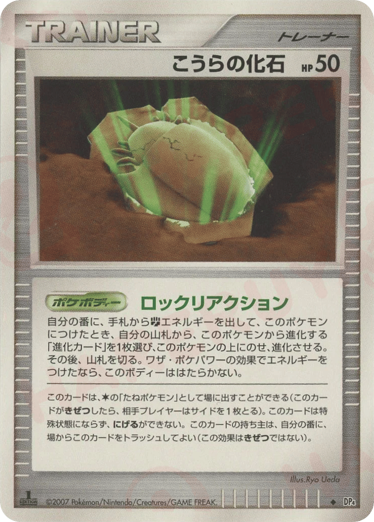 こうらの化石