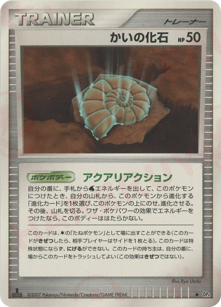かいの化石