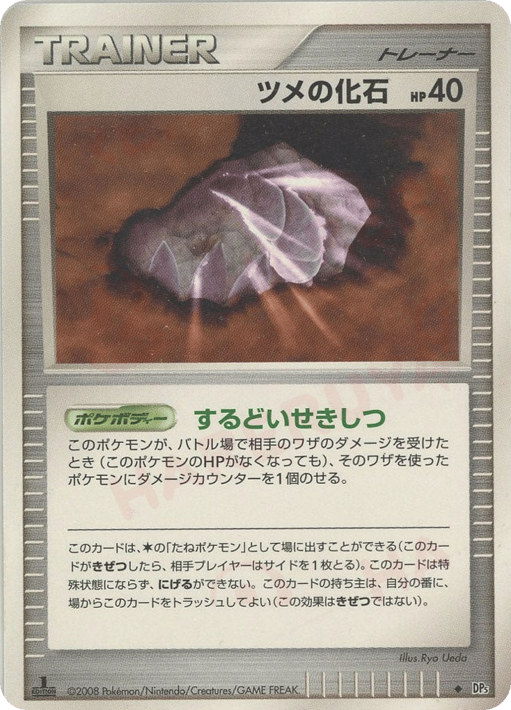 ツメの化石