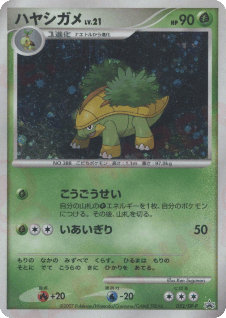 ハヤシガメ