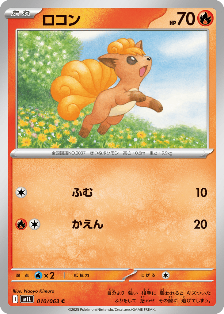 ロコン