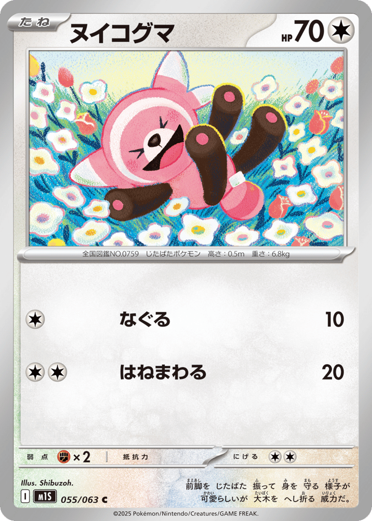 ヌイコグマ