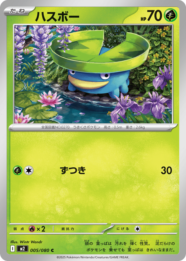 ハスボー