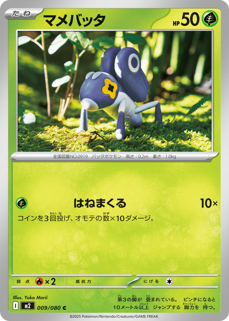 マメバッタ