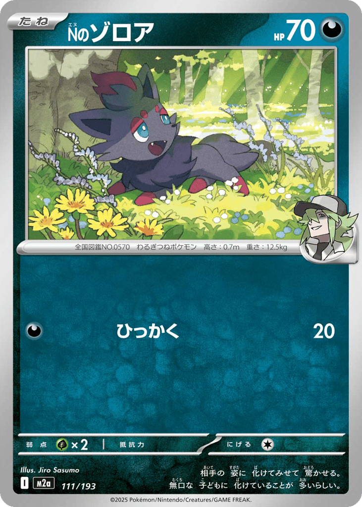 Nのゾロア