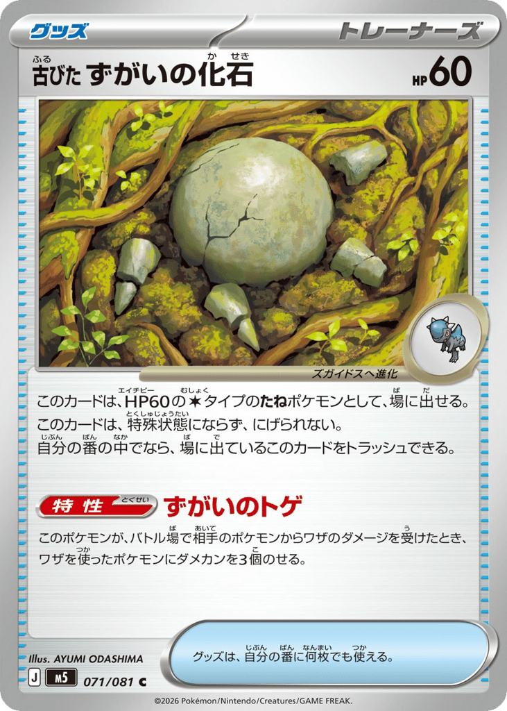 古びたずがいの化石