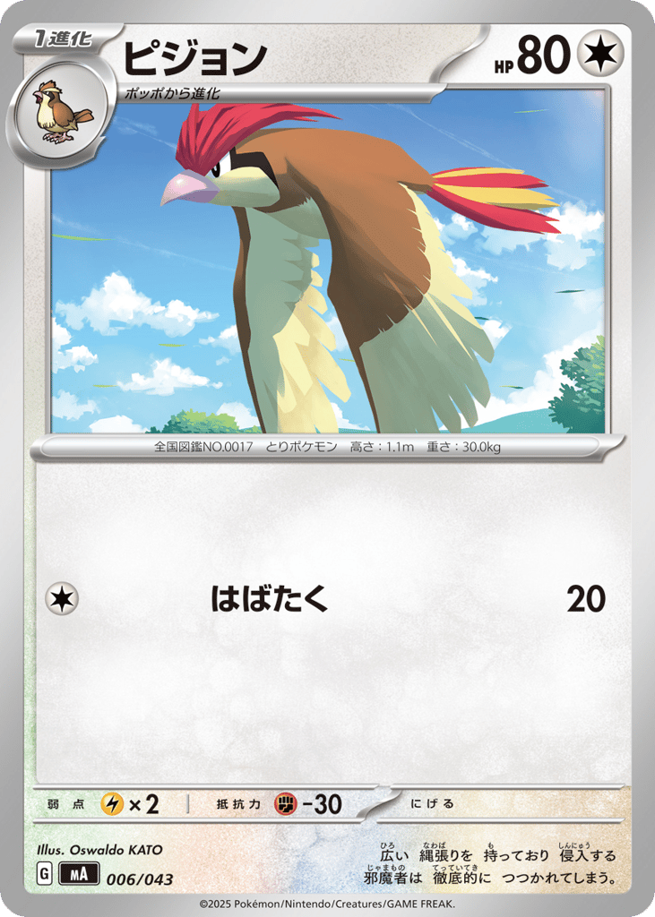 ピジョン