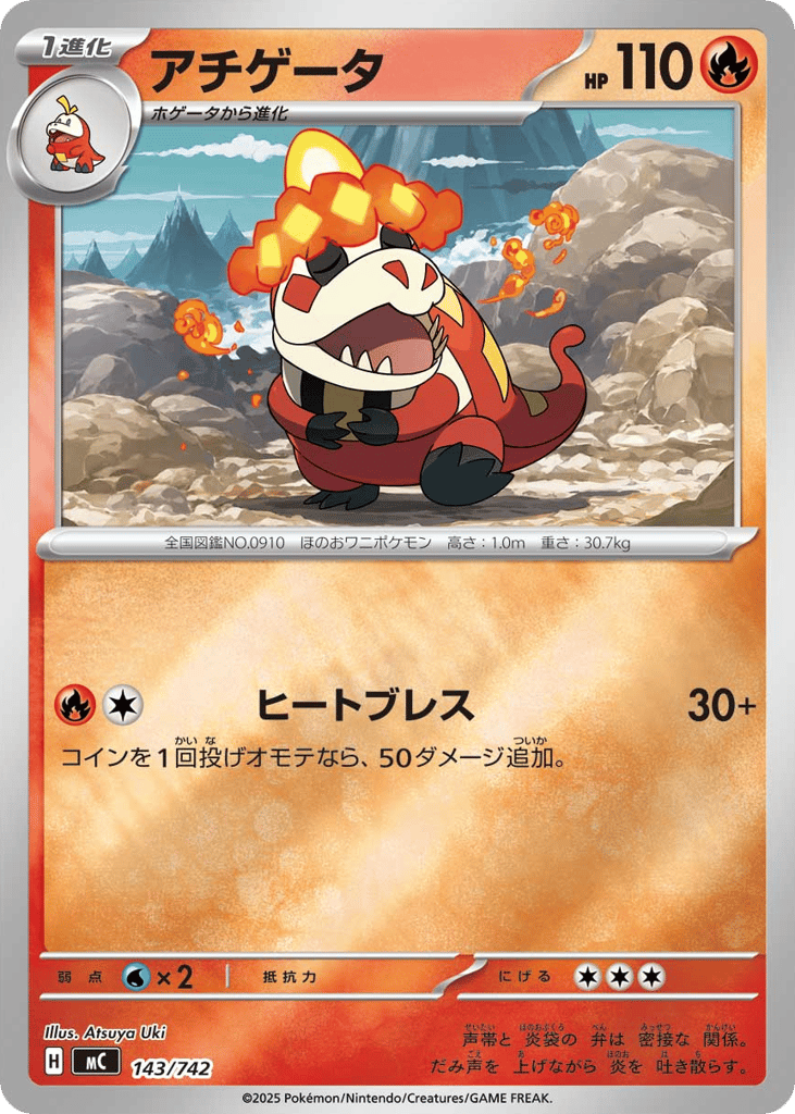 アチゲータ