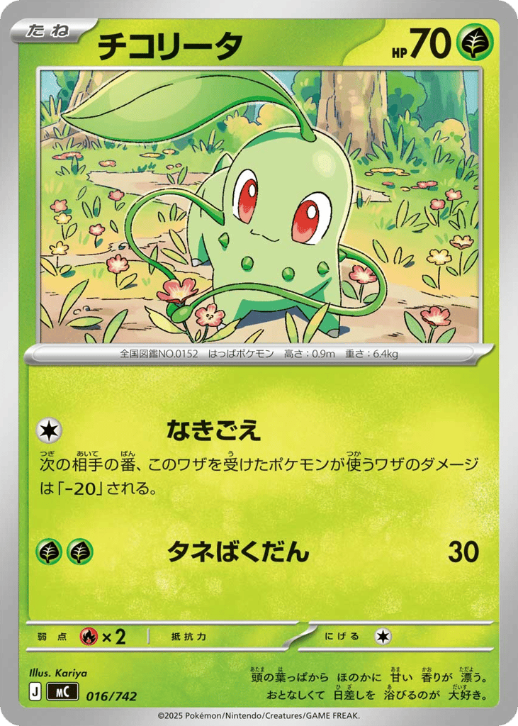 チコリータ