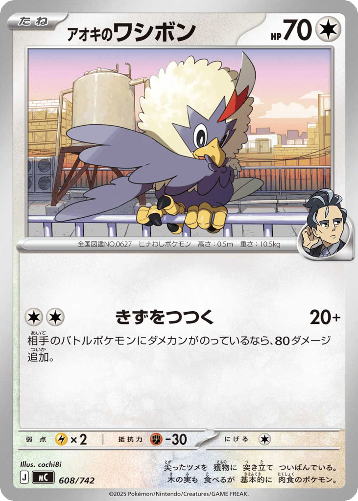 アオキのワシボン