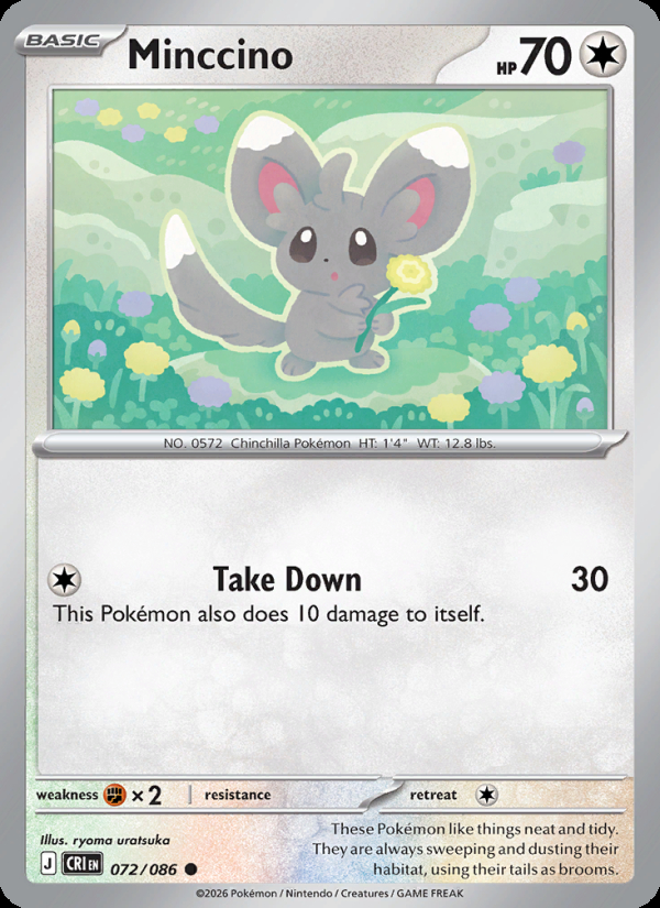 Minccino