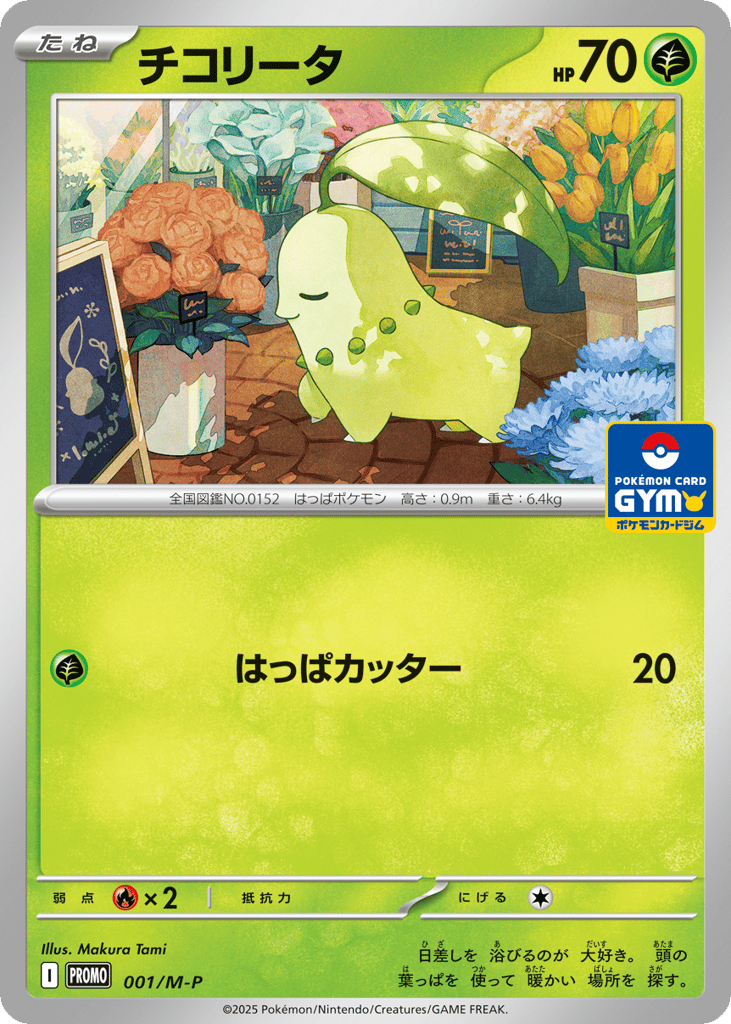 チコリータ