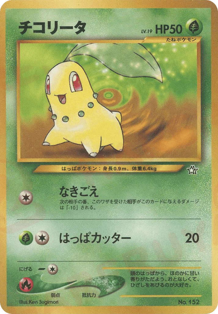 チコリータ