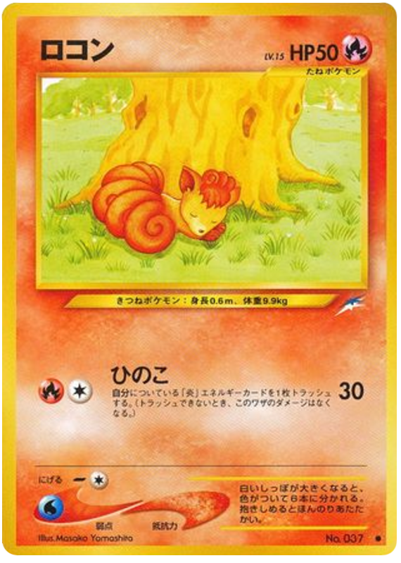 ロコン