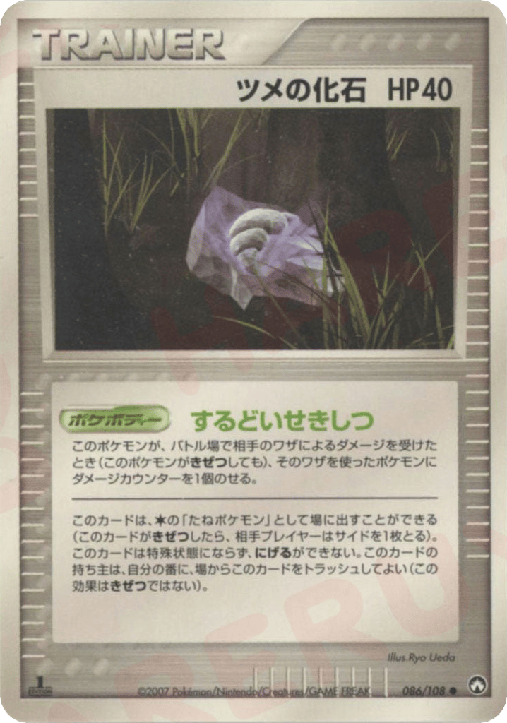 ツメの化石