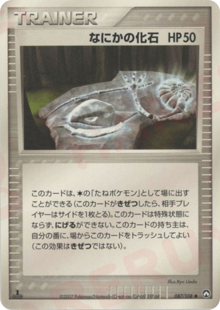 なにかの化石