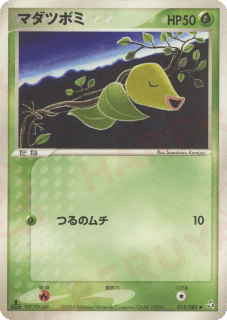 マダツボミ