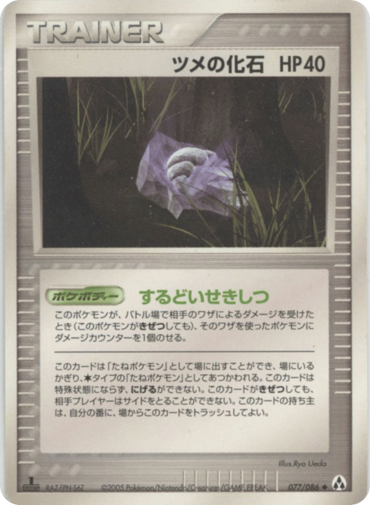 ツメの化石