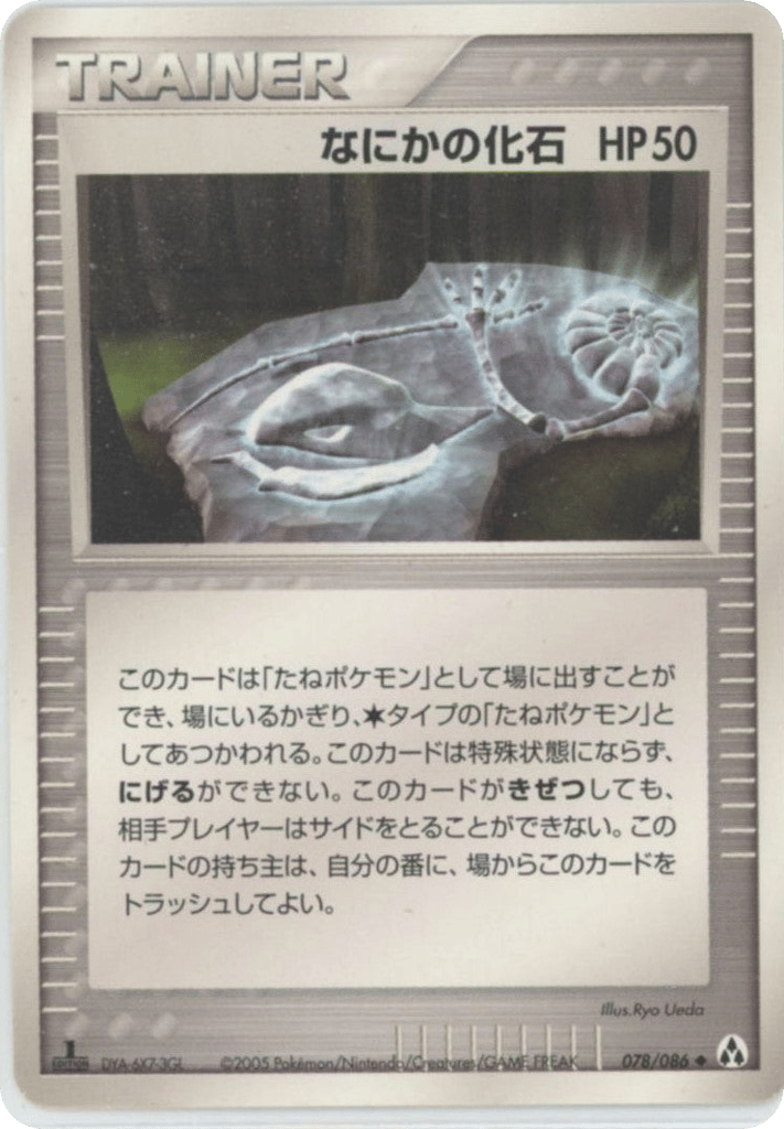 なにかの化石