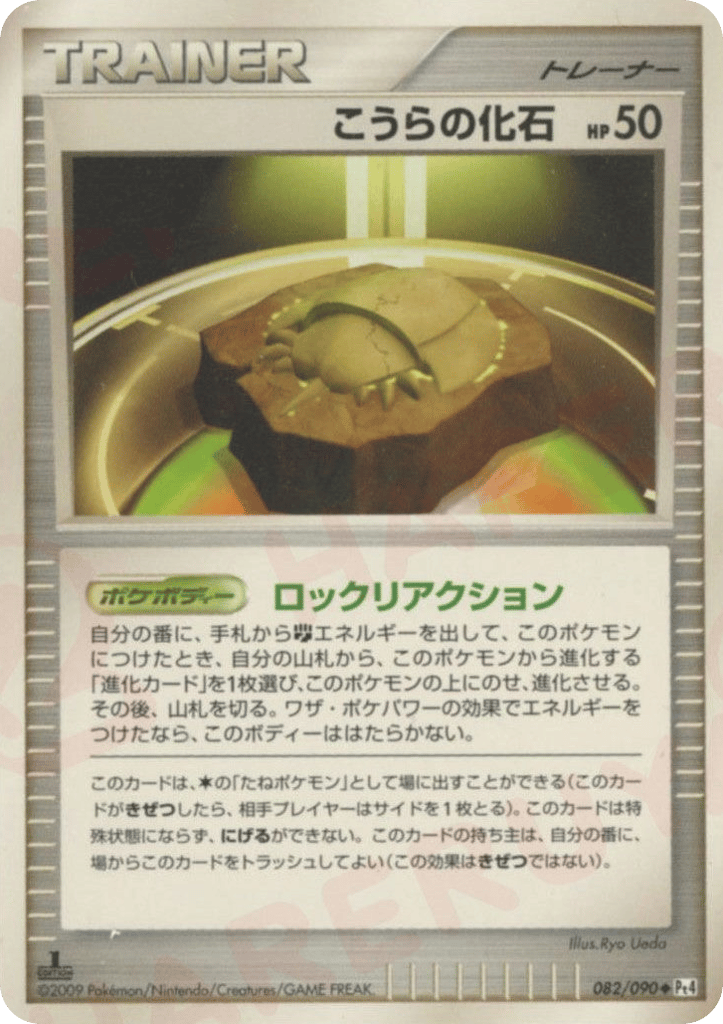 こうらの化石
