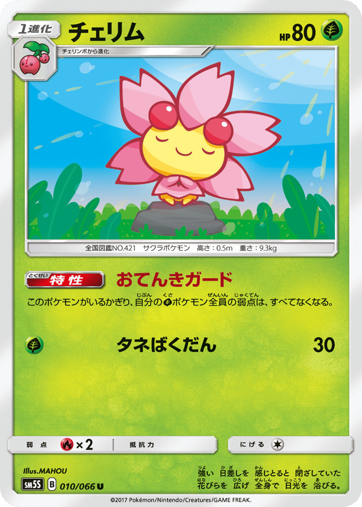 チェリム