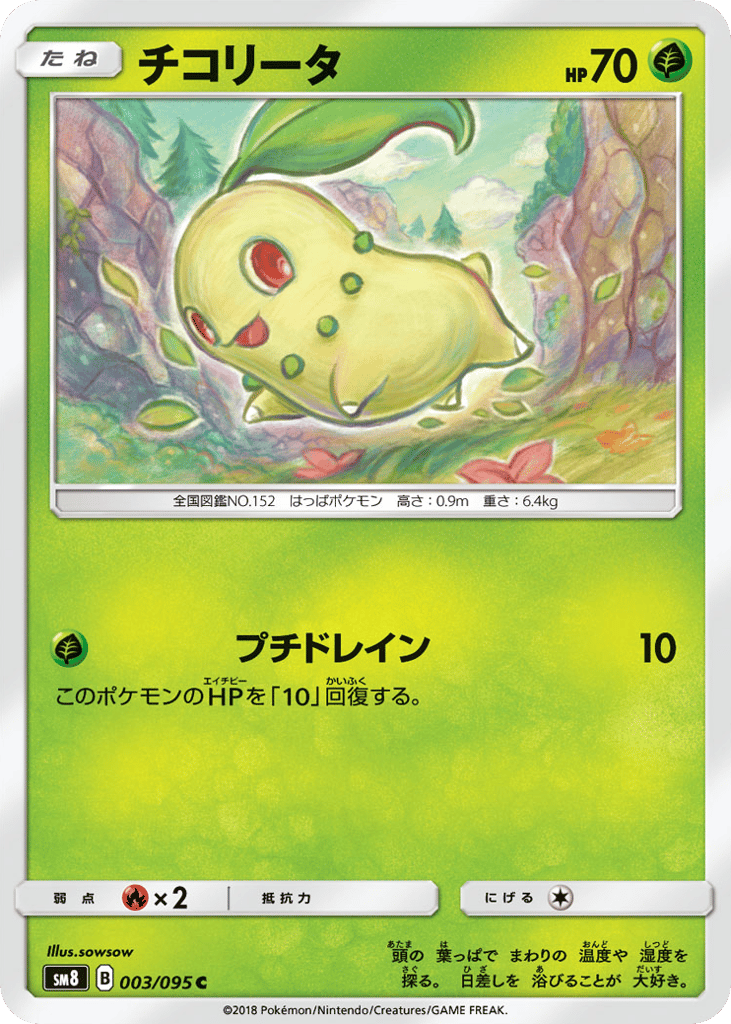 チコリータ