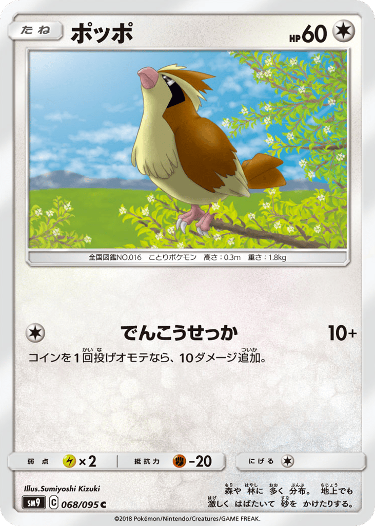 ポッポ