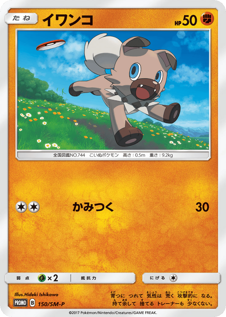 イワンコ