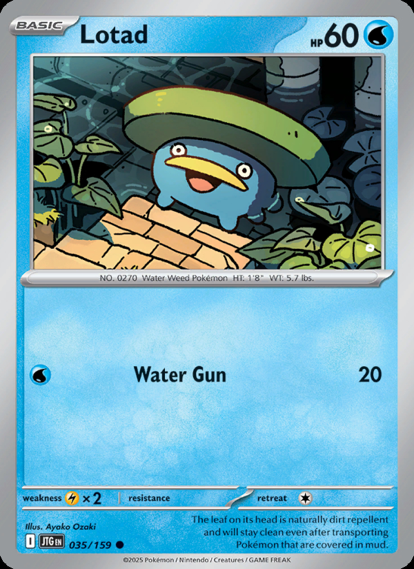 Lotad