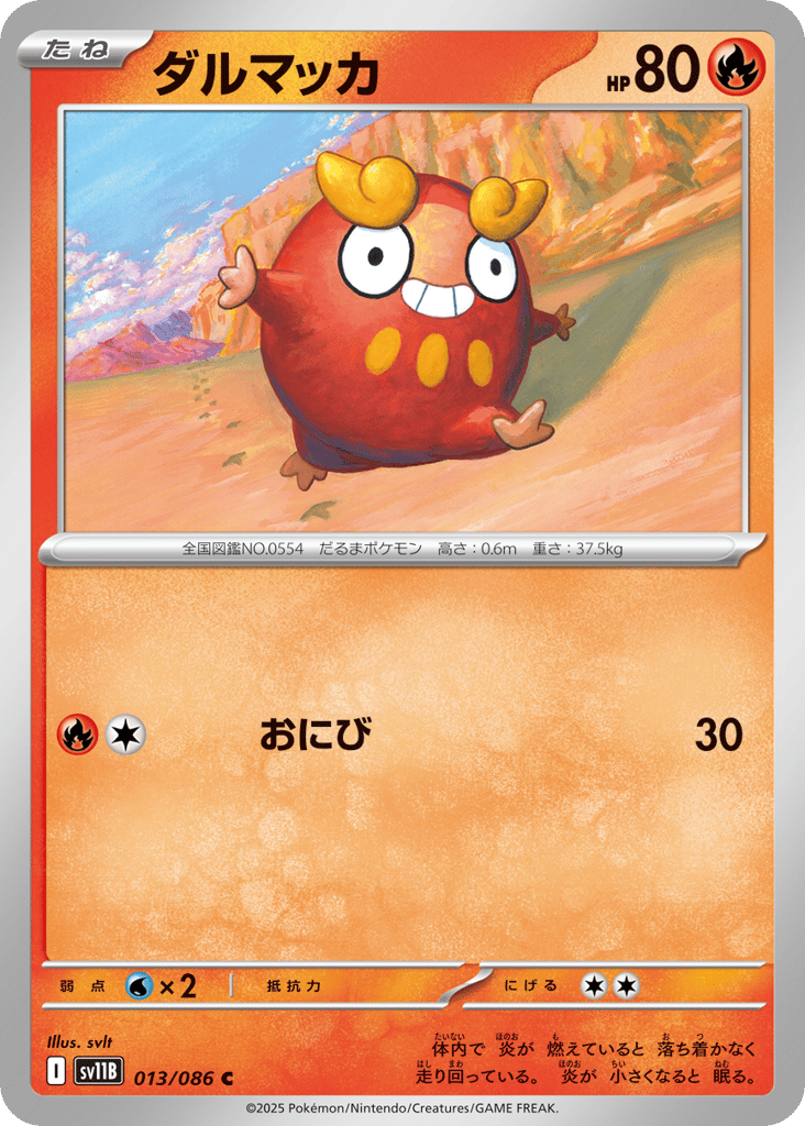 ダルマッカ