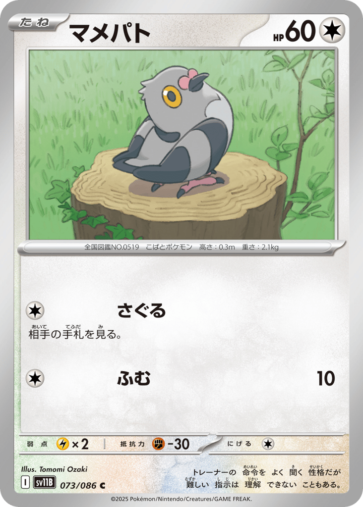マメパト