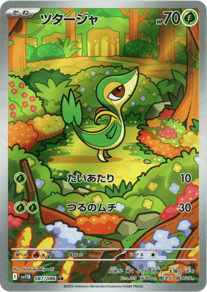 ツタージャ