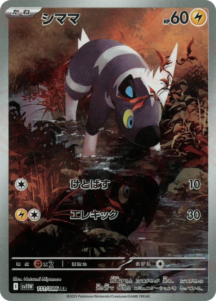 シママ