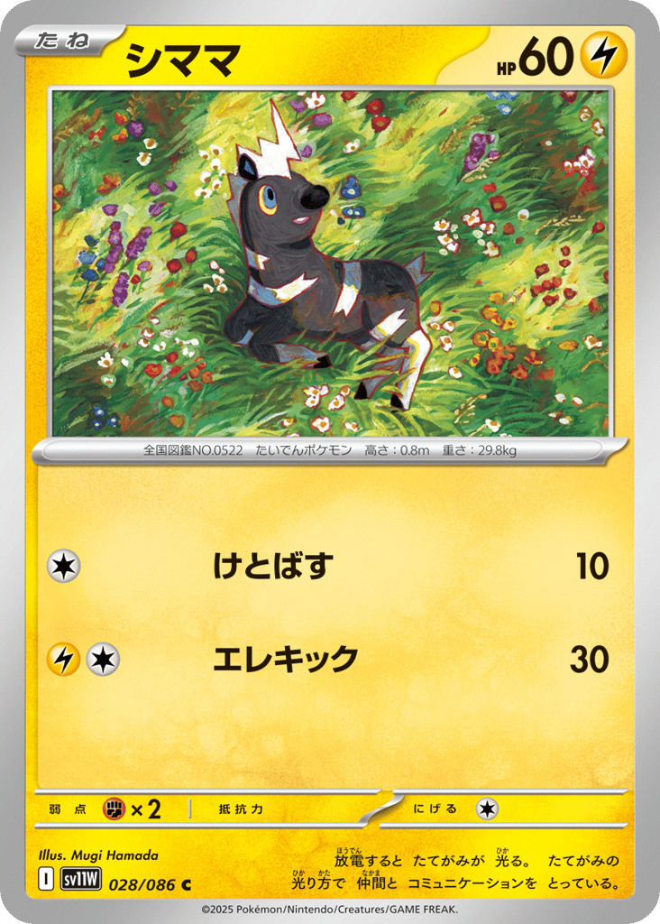 シママ