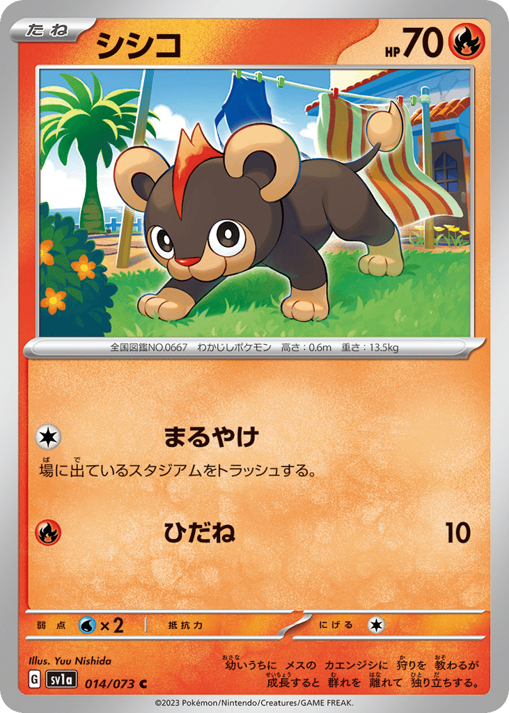 シシコ