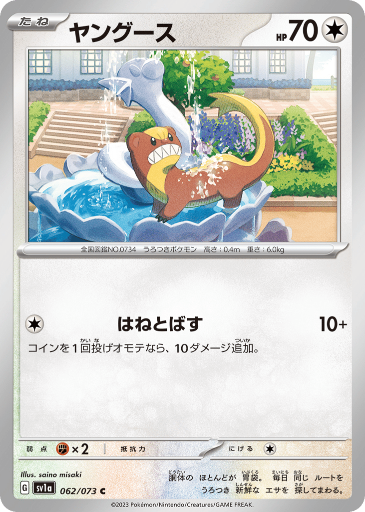 ヤングース