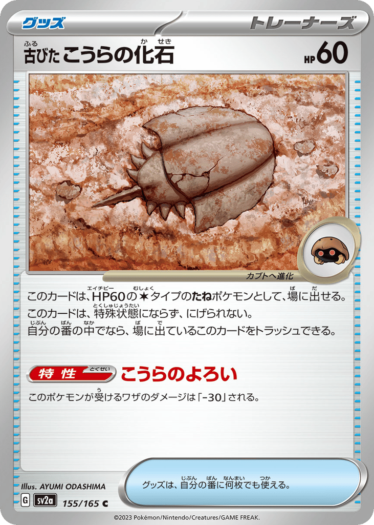 古びたこうらの化石