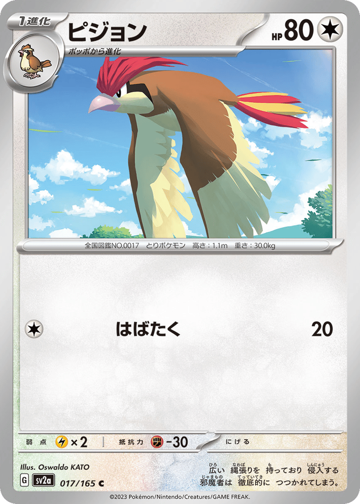 ピジョン