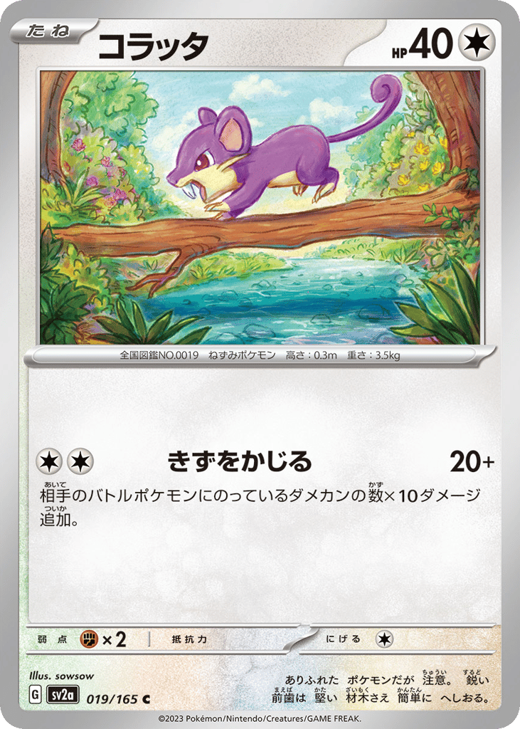 コラッタ