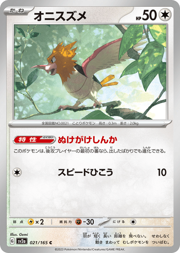 オニスズメ