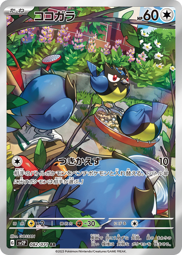 ココガラ